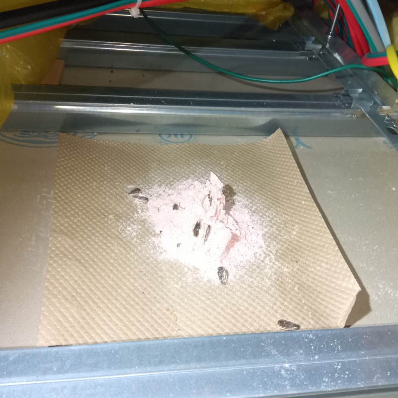 殺鼠剤を仕掛けている様子