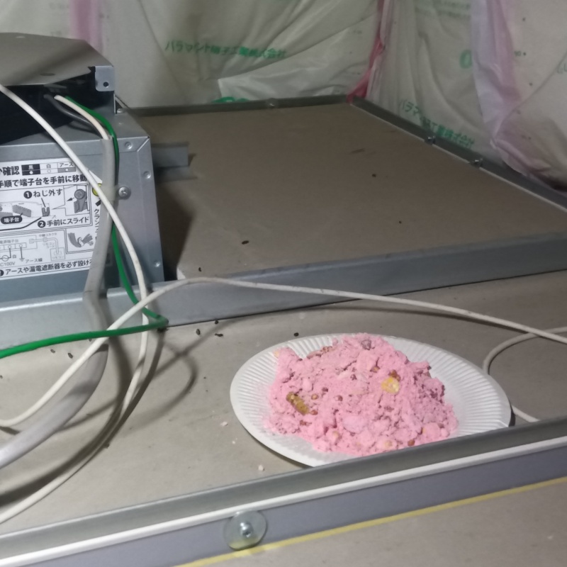 トレーの上に殺鼠剤を設置