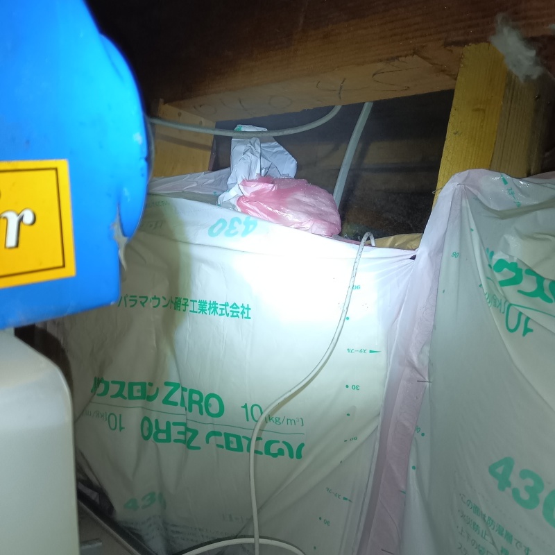 噴霧器で除菌剤を散布