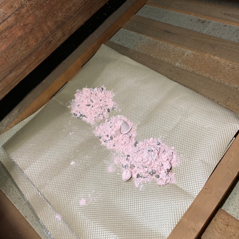 殺鼠剤を設置