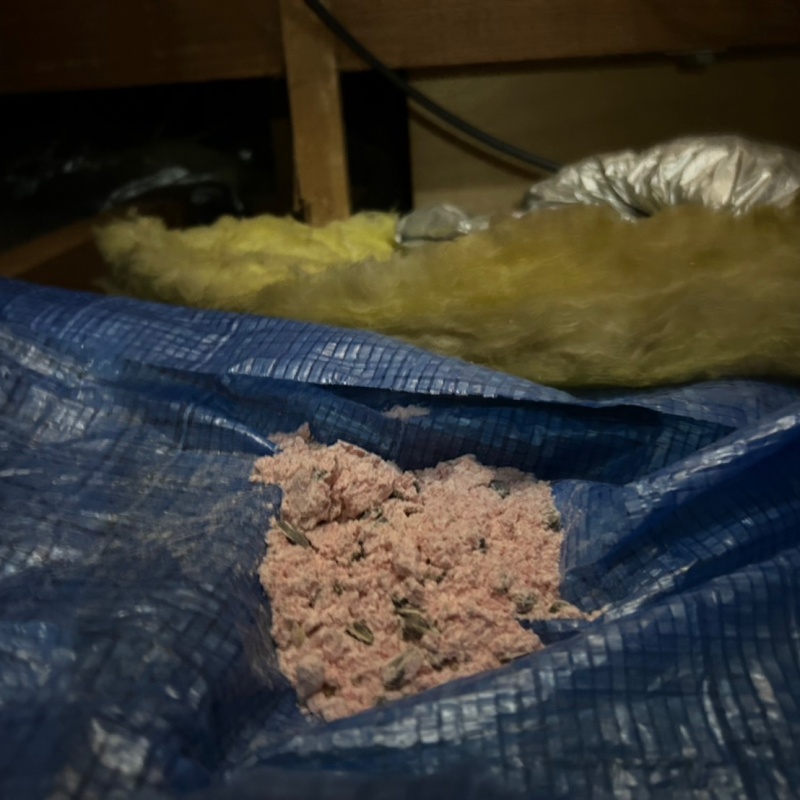 殺鼠剤を設置