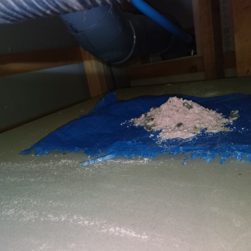 殺鼠剤を設置