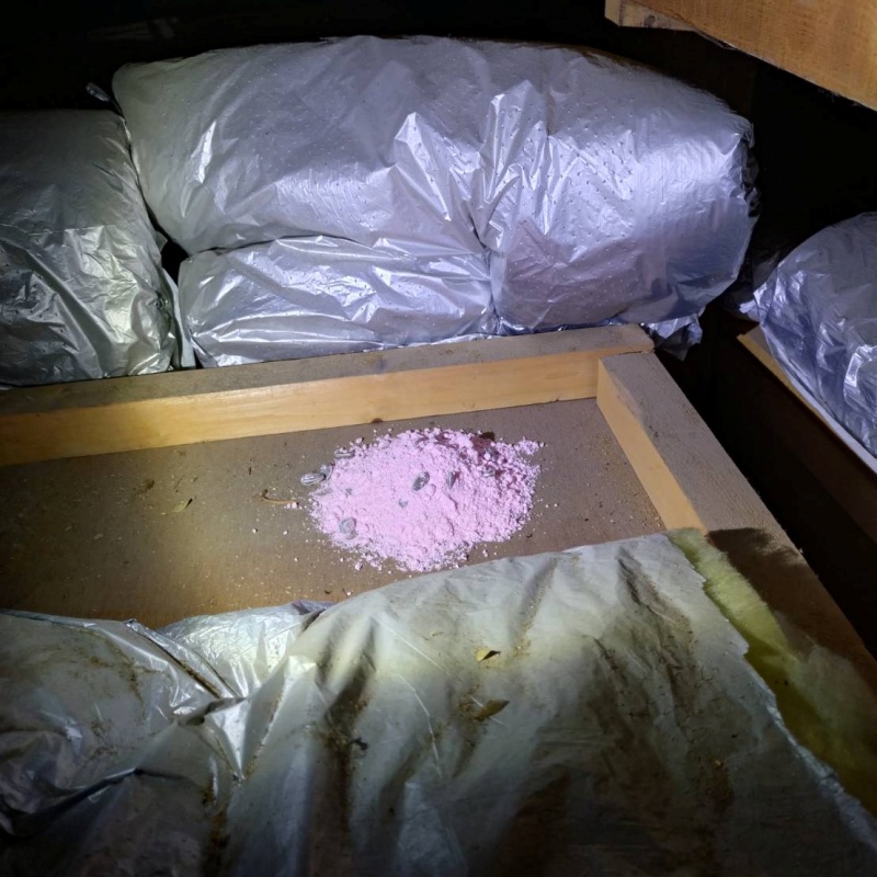 殺鼠剤を設置