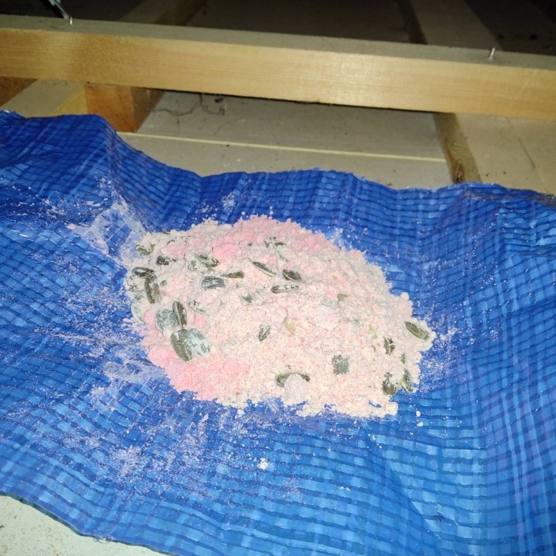 殺鼠剤を設置