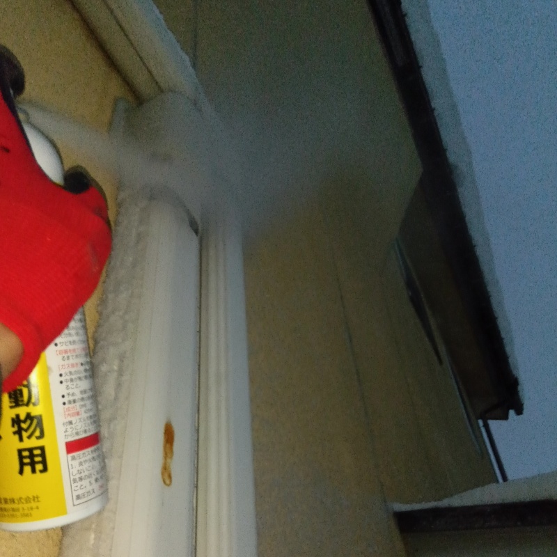 忌避剤を吹き付けている様子