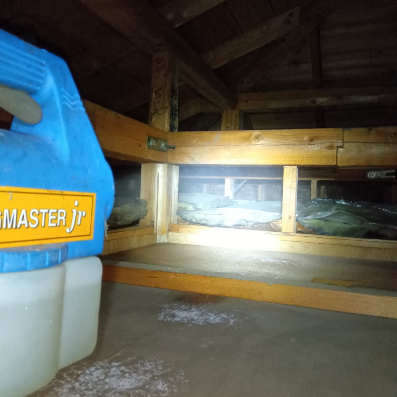 噴霧器で除菌・消臭剤を散布