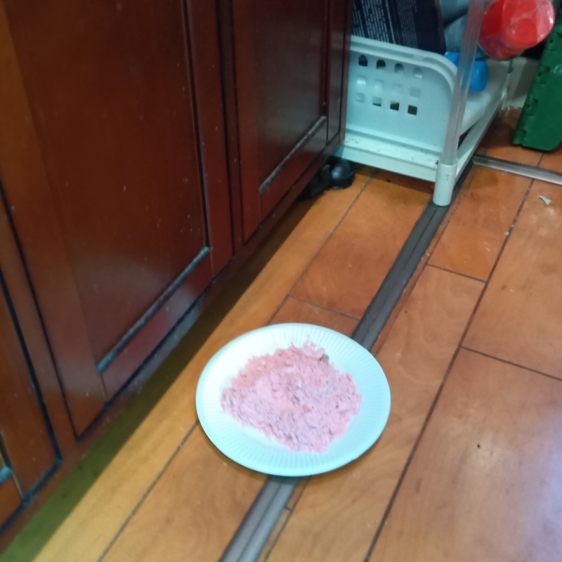 殺鼠剤を仕掛けている様子