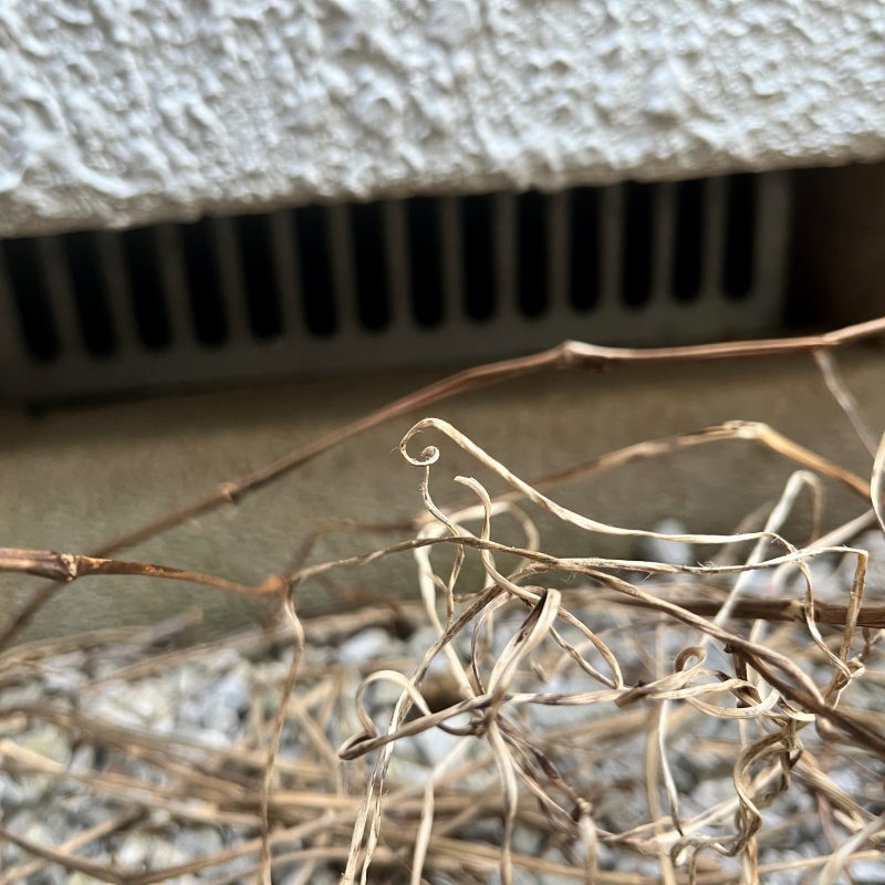 侵入口になっていた床下換気口