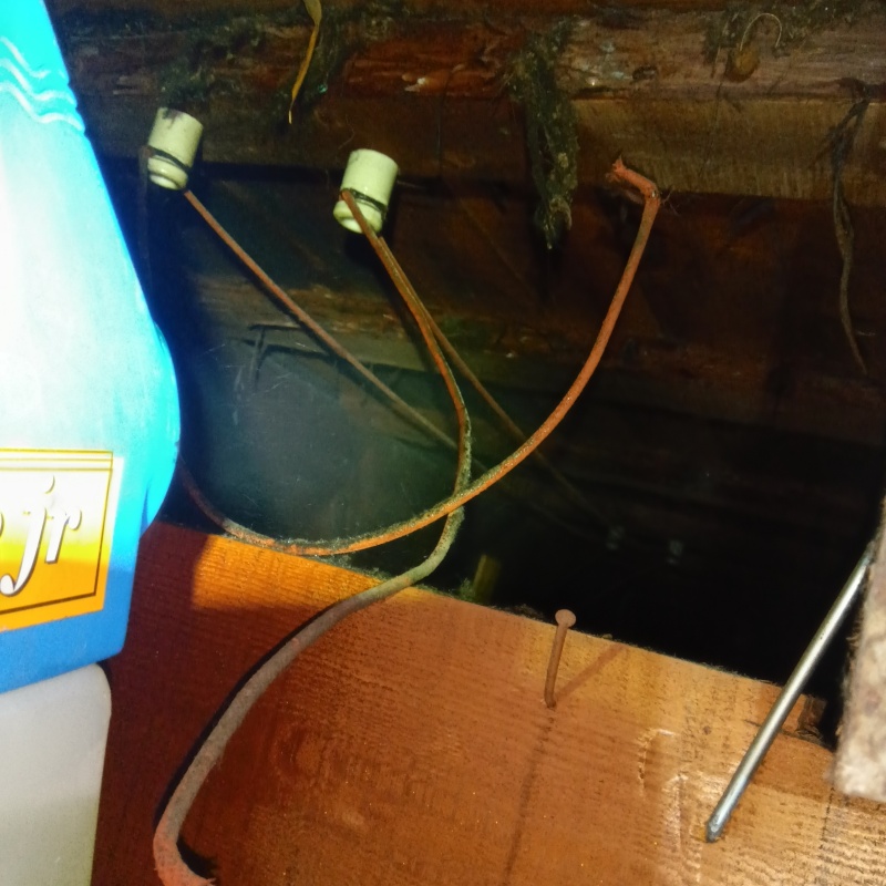 噴霧器で除菌剤を散布
