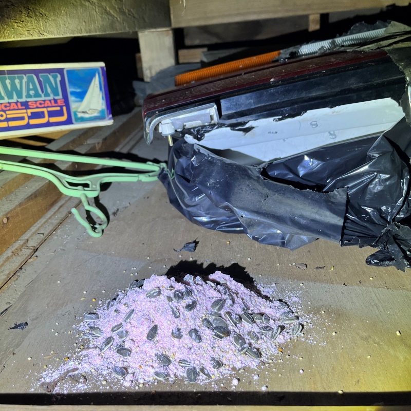 殺鼠剤を設置
