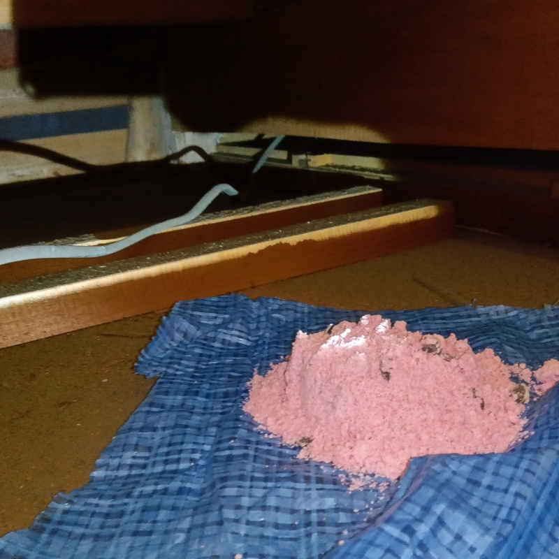 屋根裏に殺鼠剤を設置