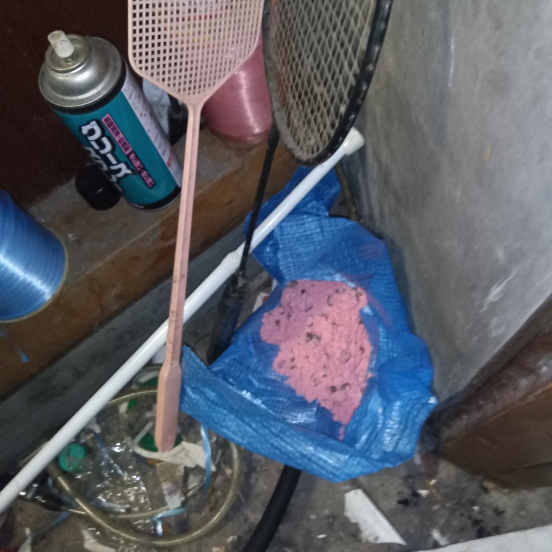 ブルーシートの上に殺鼠剤を設置