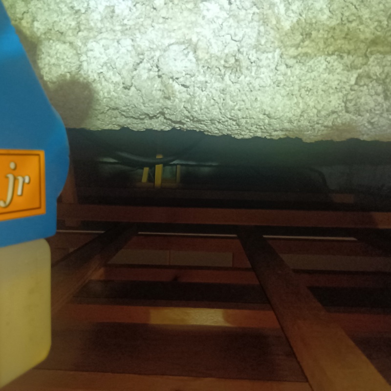 噴霧器で除菌剤を散布