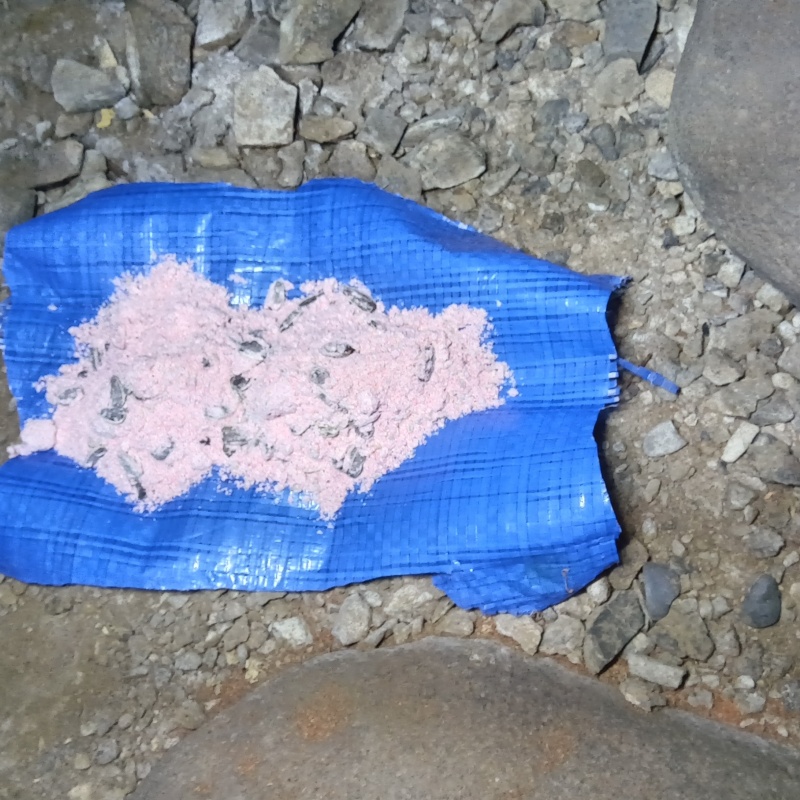 床下に殺鼠剤を置く