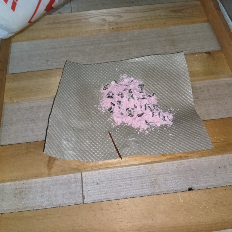 殺鼠剤を仕掛けている様子