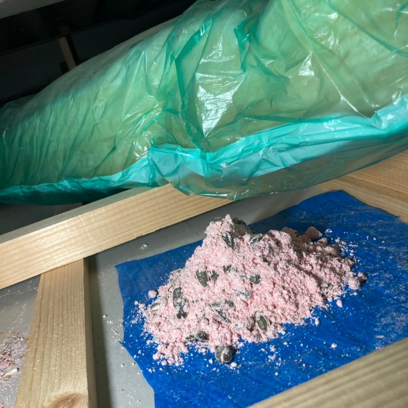 ブルーシートの上に殺鼠剤を設置