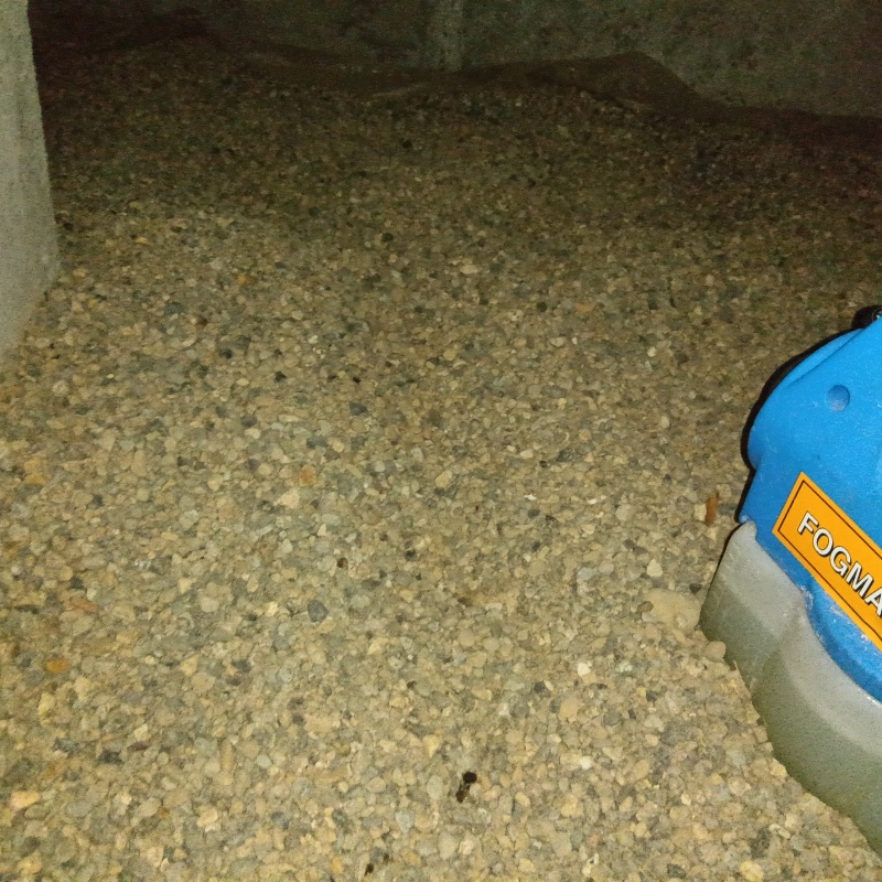 噴霧器で除菌剤を散布
