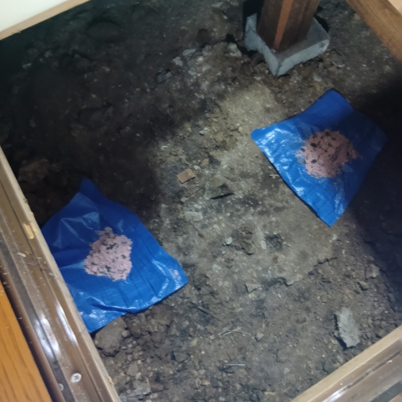 アライグマ駆除の施工事例（埼玉県日高市高岡）