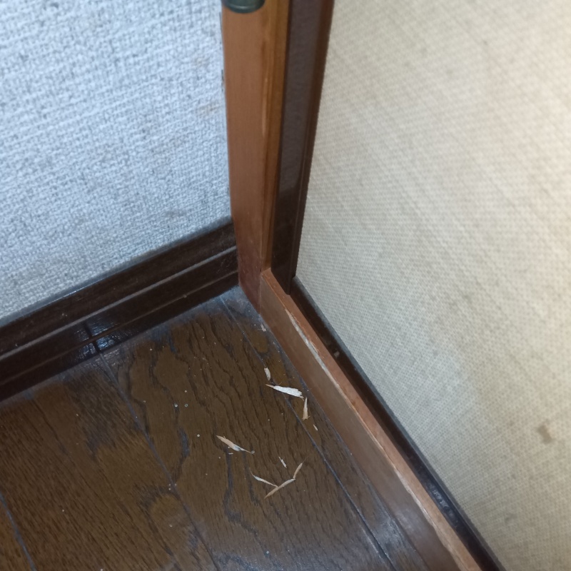室内が汚れている様子