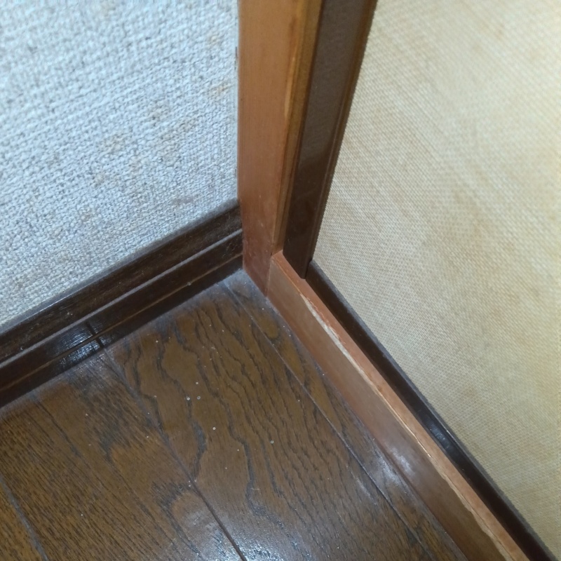 室内を清掃
