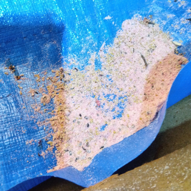 殺鼠剤が食べられ荒らされた痕跡