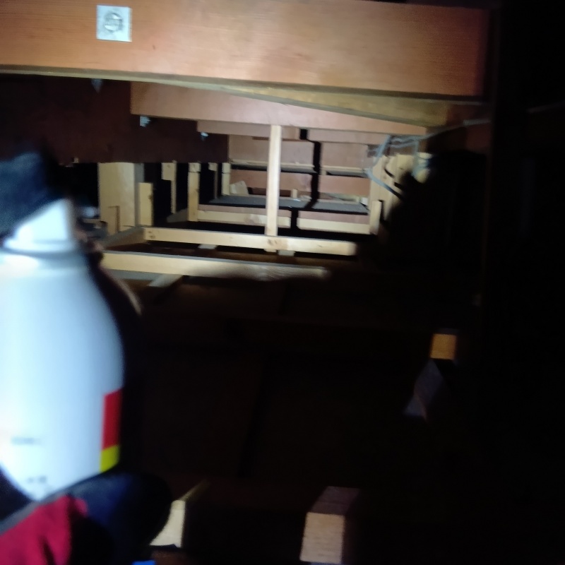 屋根裏に忌避剤をスプレー