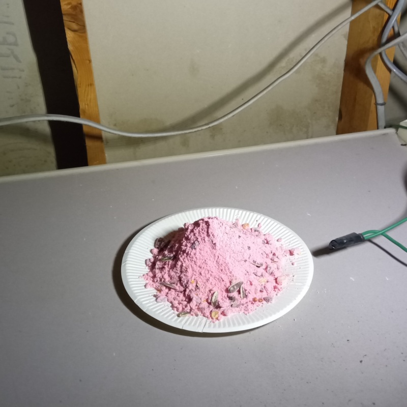 屋根裏に殺鼠剤を設置