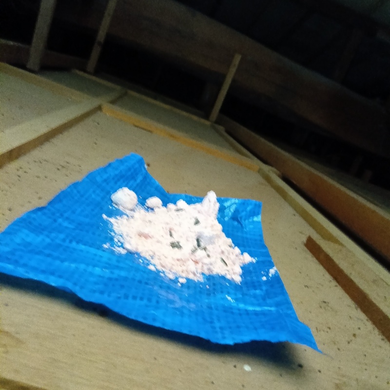 屋根裏に殺鼠剤を設置