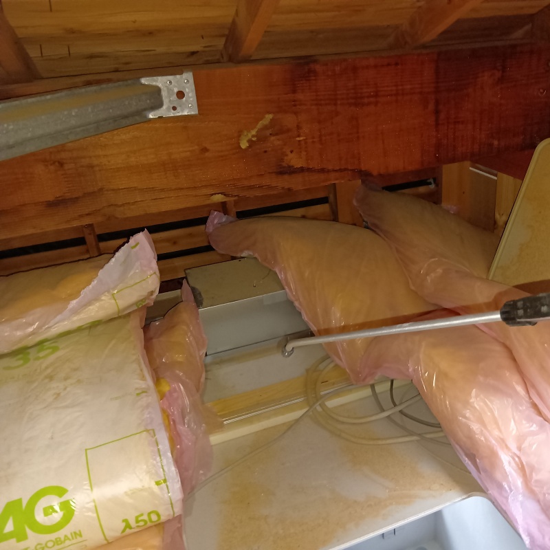 屋根裏に殺虫剤を散布