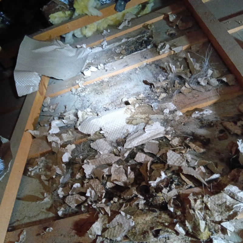 荒らされた屋根裏