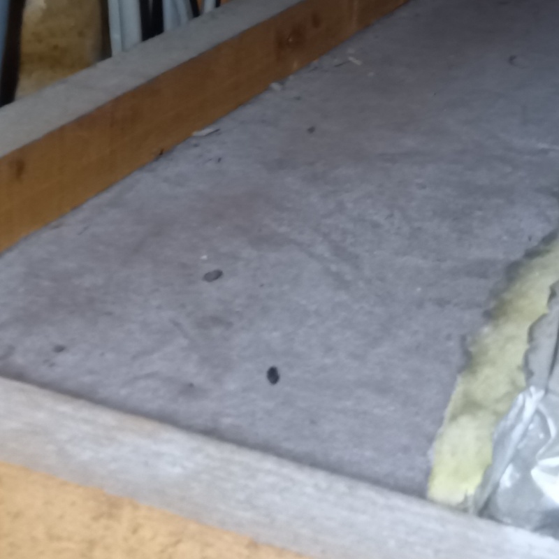 屋根裏に落ちているフン