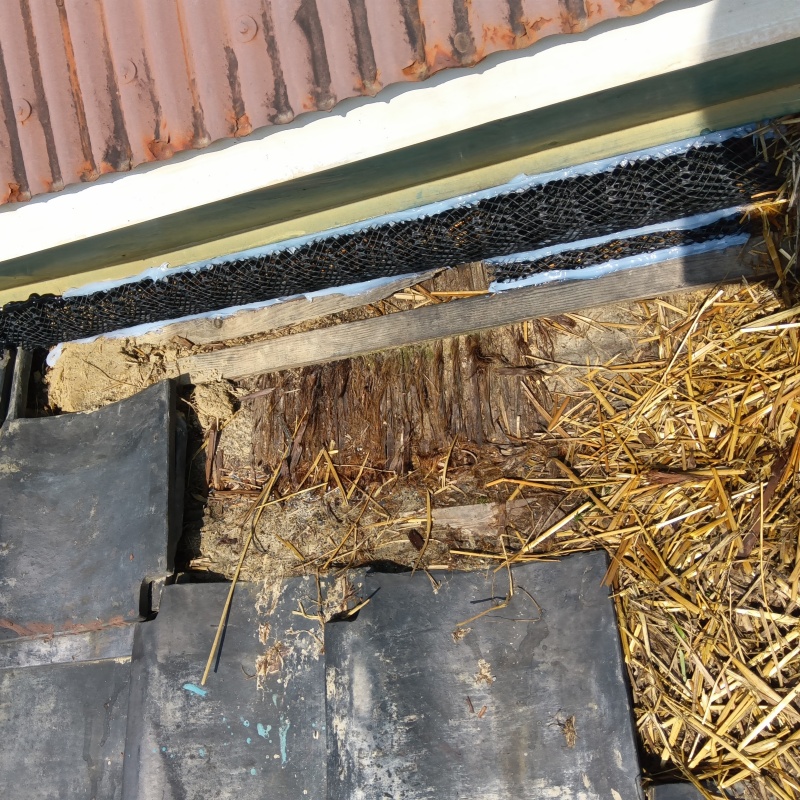 アライグマ駆除の施工事例（滋賀県東近江市南花沢町）