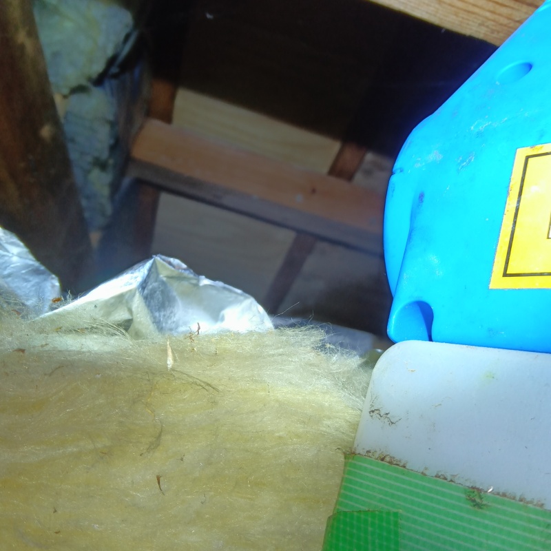 噴霧器で除菌・消臭剤を散布