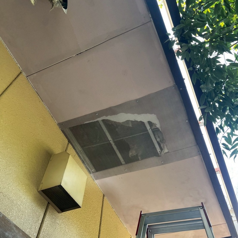 天井に開いた穴