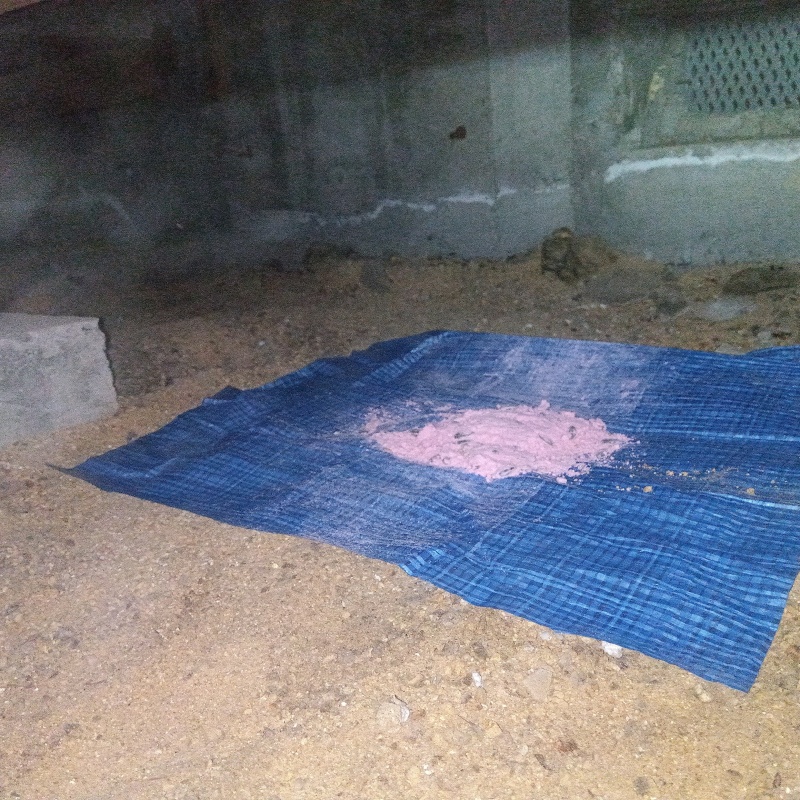 殺鼠剤を設置