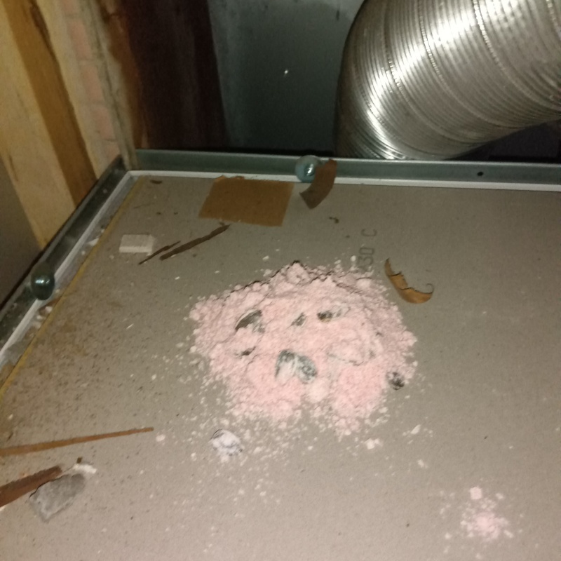 殺鼠剤を設置