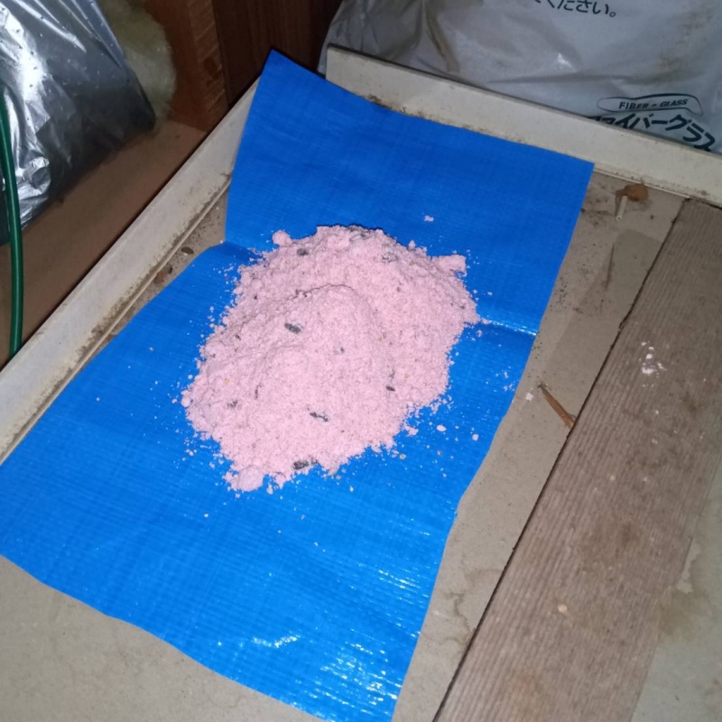 殺鼠剤を設置
