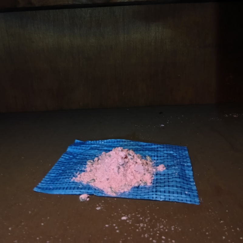 殺鼠剤を設置