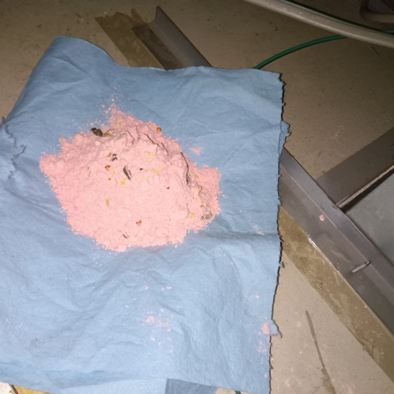 殺鼠剤を設置