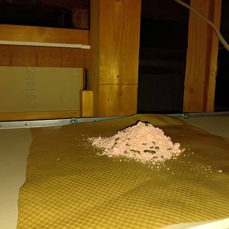 殺鼠剤を設置