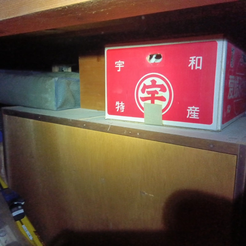 清掃が完了した様子