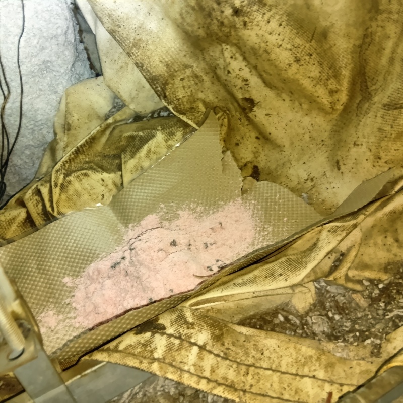 殺鼠剤を設置