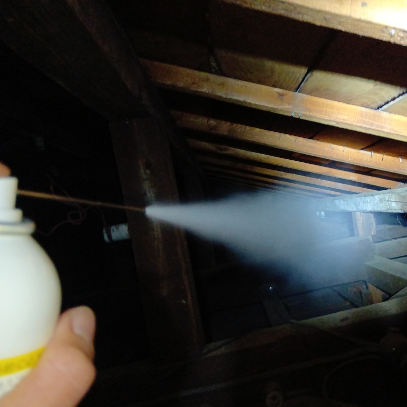 ハクビシン駆除の施工事例（東京都世田谷区）