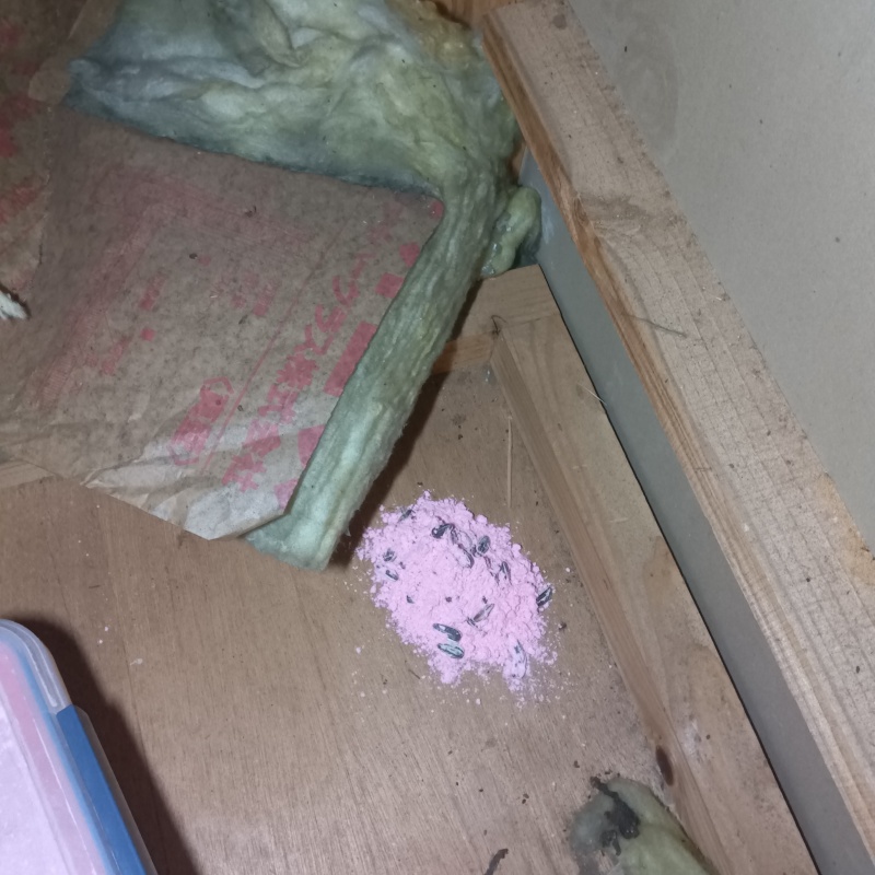 殺鼠剤を設置