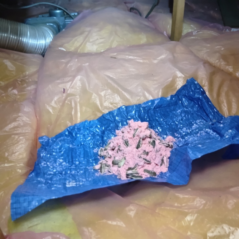 殺鼠剤を設置
