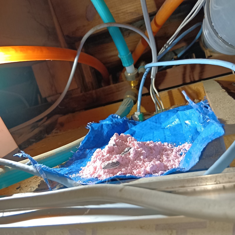 殺鼠剤を仕掛けている様子