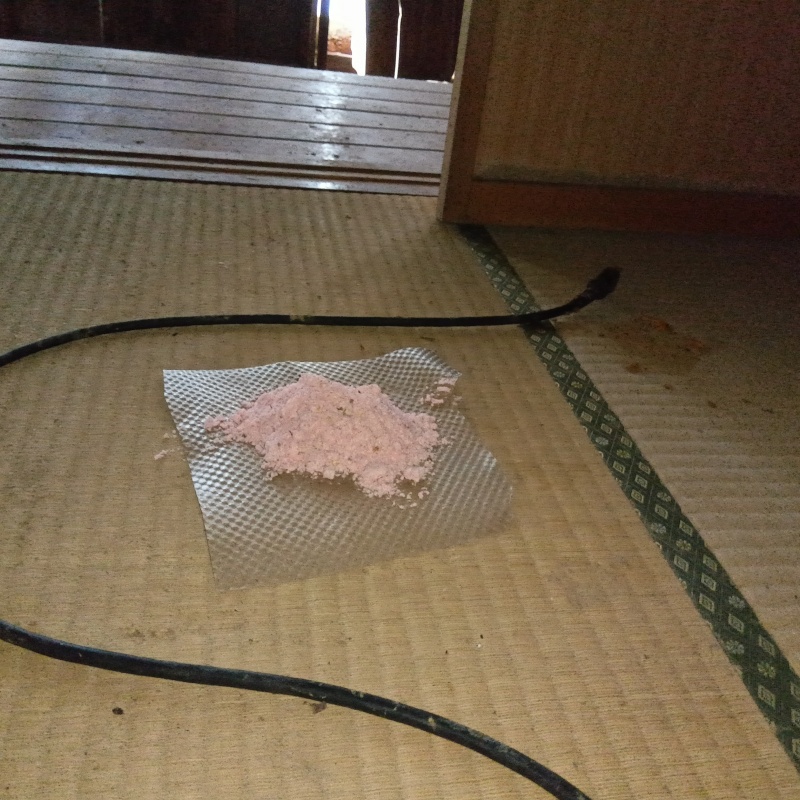 畳の上に殺鼠剤を設置