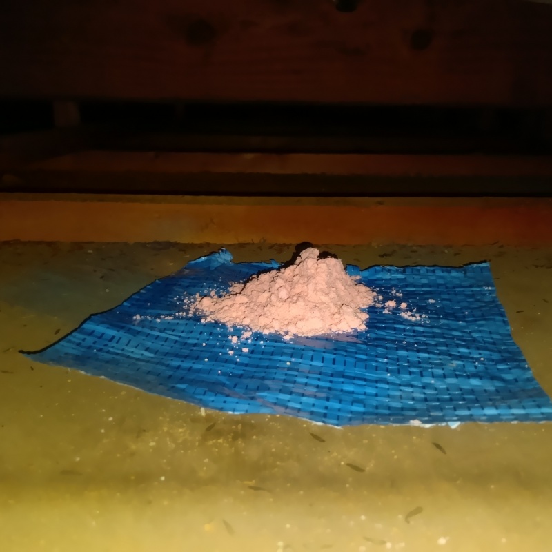 殺鼠剤を設置