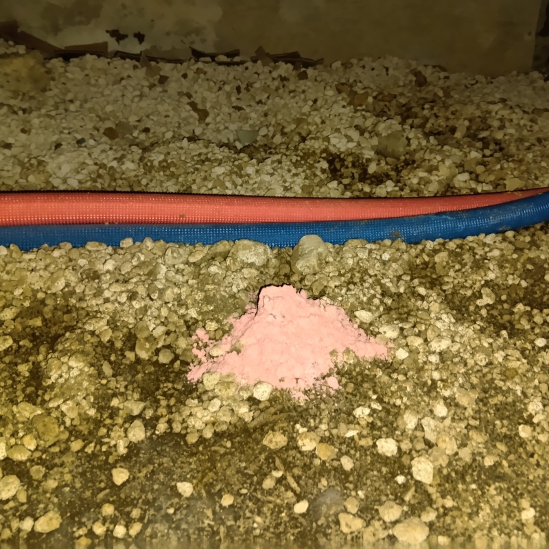 殺鼠剤を設置