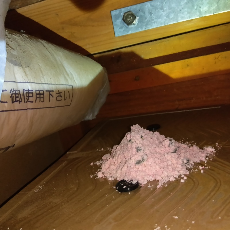 粘着シートの上に殺鼠剤を設置